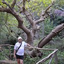 ���� Sergey, �����, 46 ��� - ��������� 9 �������� 2014 � ������ ���� ����������