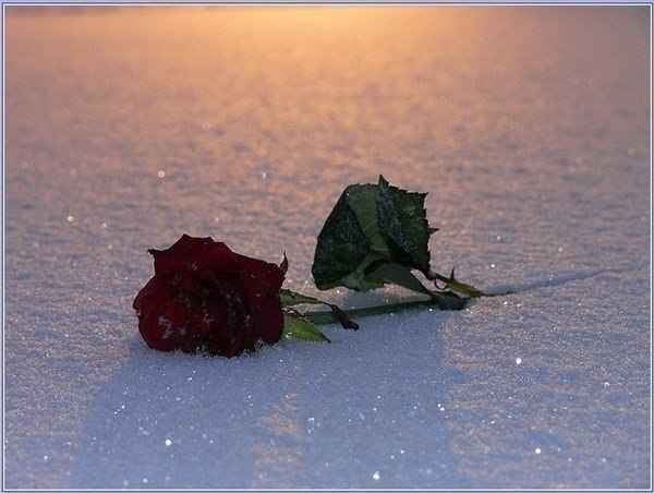 Человек ревнив не тогда, когда любит, а когда хочет быть любимым. © Бенджамин Джонсон