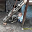 ���� �����, ���������, 38 ��� - ��������� 26 ������� 2014 � ������ ���� ����������