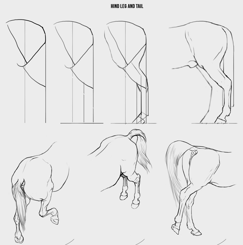 Схема рисования лошади
