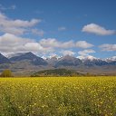 ���� ���������, ���������, 60 ��� - ��������� 6 ������� 2014 � ������ ���� ����������