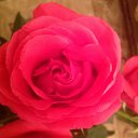 ���� �������, ������ - ��������� 22 ������ 2014 � ������ �����ۻ