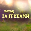 ���� ���, ������ - ��������� 8 �������� 2014 � ������ ���� ����������