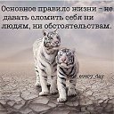  , -, 51  -  14  2014    