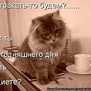 ���� ������, �����, 59 ��� - ��������� 18 �������� 2014 � ������ ������ ��������