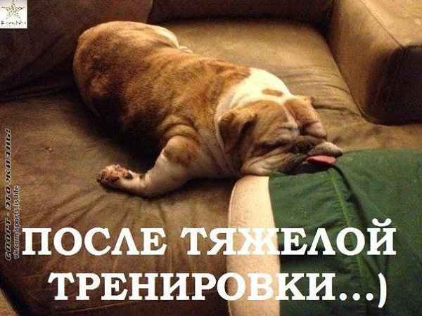 ����� - ��� ����� - 19 ������� 2014 � 16:20