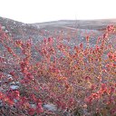 ���� �����, ����-����������� - ��������� 28 ������� 2014 � ������ ������ ��������