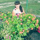 ���� �������, �������, 27 ��� - ��������� 1 ������� 2014 � ������ ���� ����������