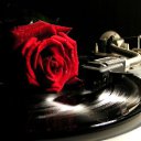 ���� ����, ������, 56 ��� - ��������� 25 ������� 2014 � ������ ���� ����������