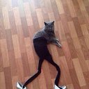 ���� ��������, �����������, 38 ��� - ��������� 30 �������� 2014 � ������ ������ ��������