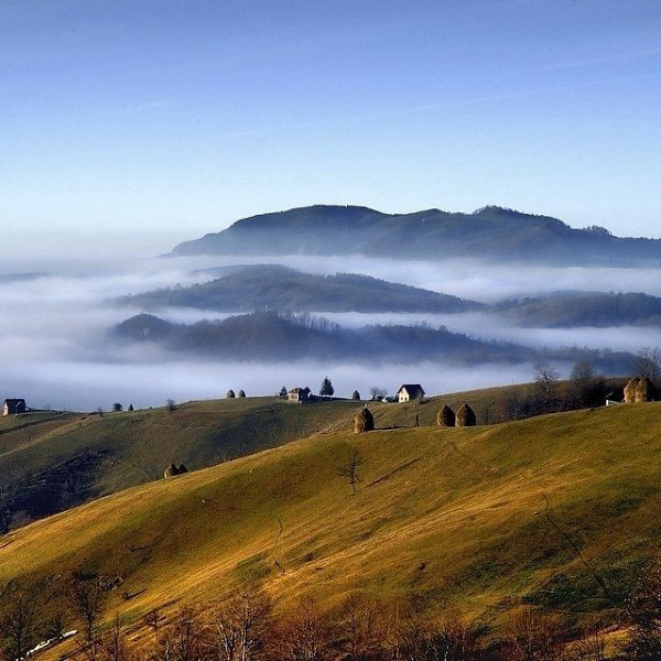      Instagram.http://instagram.com/betraveler  , ...