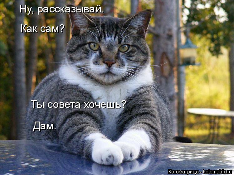 Marina - 13 ������ 2014 � 07:49
