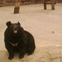 ���� ����, ������, 48 ��� - ��������� 7 �������� 2014 � ������ ���� ����������