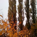 ���� �����, �������, 50 ��� - ��������� 17 ������� 2014 � ������ ������ ��������