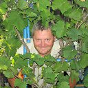 ���� �������, ���������, 68 ��� - ��������� 11 ������� 2014