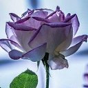 ���� Keti, �������, 54 ���� - ��������� 9 ������� 2014 � ������ ���� ������� ����!!!!�