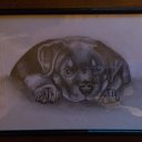 ����� ��������