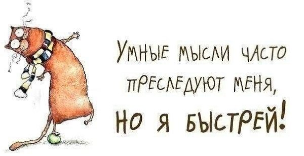  .....   .. ... ... ... ... ...