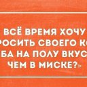 ���� ��������, ���������, 37 ��� - ��������� 23 �������� 2014 � ������ ������ ��������