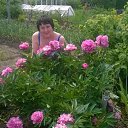 ���� �����, ������ - ��������� 22 ������ 2014 � ������ ���������� ������