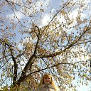 ���� �����, ������, 49 ��� - ��������� 18 ������� 2014 � ������ ���� ����������