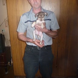 Sergey, �����������, 55 ���