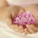 ���� �����, ���� - ��������� 6 ������ 2014 � ������ ������ ��������