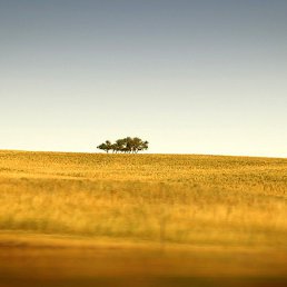 �����, �����, 72 ����