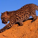 ���� ==Elena==, ������� - ��������� 27 ������� 2014 � ������ ���� ����������