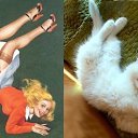 ���� �����, ��������, 59 ��� - ��������� 16 ������� 2014 � ������ ������ ��������