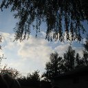 ���� �����, ������ - ��������� 20 �������� 2014 � ������ ���� ����������