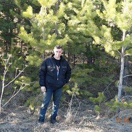 ���� �����������, ����������� - ��������� 15 �������� 2014