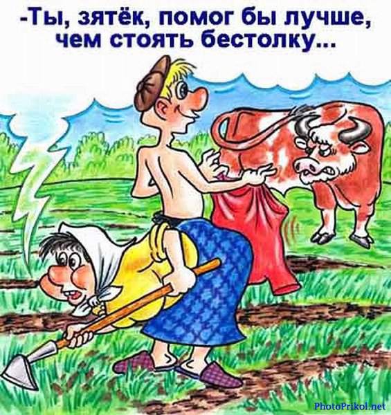  - 4  2014  16:09