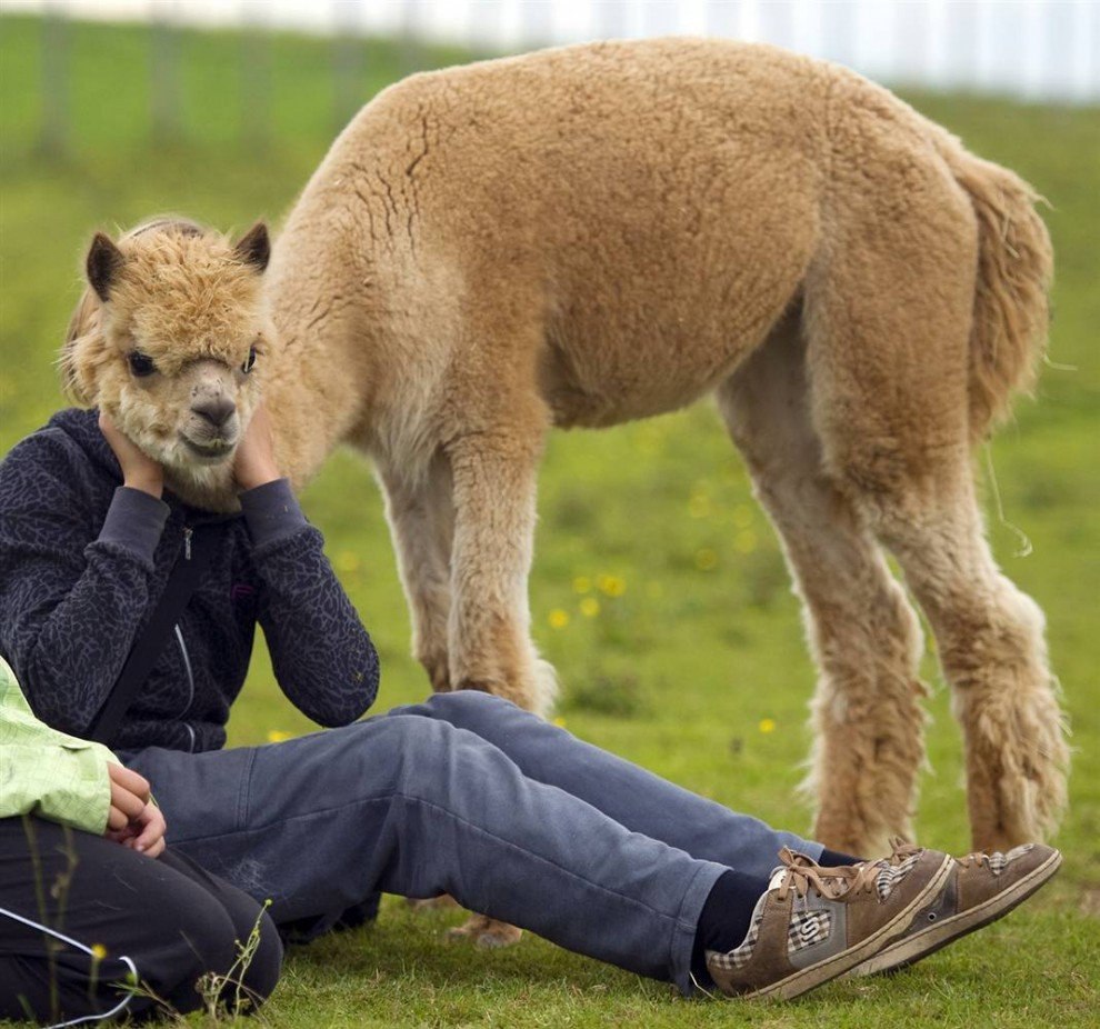  .#animal@travel.blog - 3