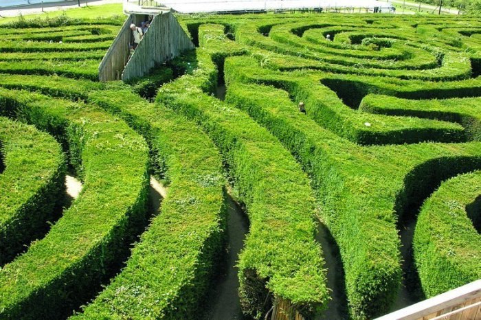 Longleat Hedge Maze:        .      ... - 4