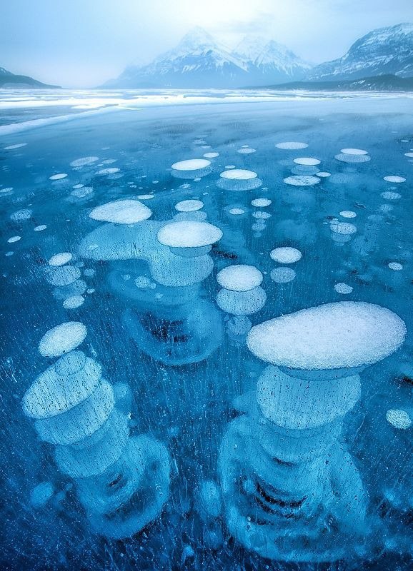  .  (Abraham Lake)     .   ... - 7