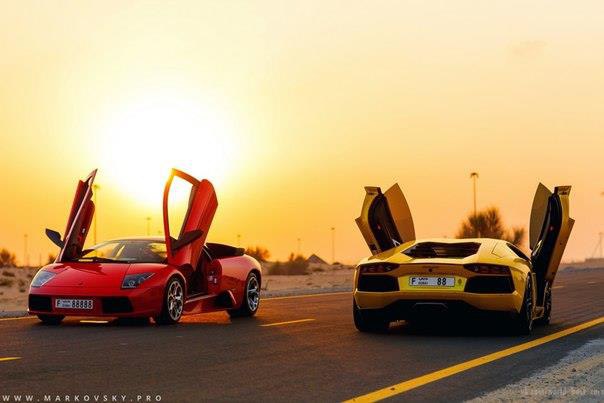Lamborghini Murcilago & Aventador. - 7