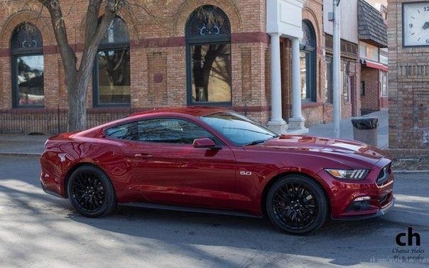 2015 Ford Mustang GT 5.0 - 5