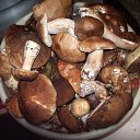 ���� ���, �������, 64 ���� - ��������� 13 �������� 2014 � ������ ��� �������