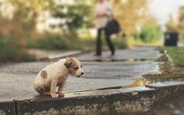 Не жалуйся на жизнь — кто-то мечтает о такой жизни, какой ты живешь.