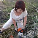  ,  , 60  -  29  2014    