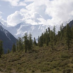 ���� �������, ���������, 71 ��� - ��������� 8 �������� 2014