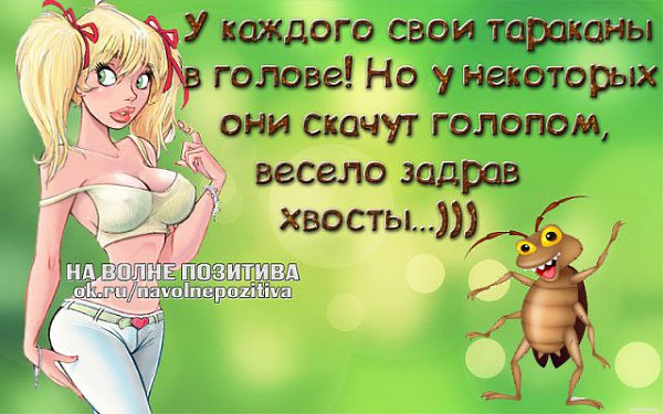  - 11  2014  22:09