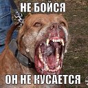 ���� ������, ������, 35 ��� - ��������� 31 ������� 2014 � ������ ������ ��������