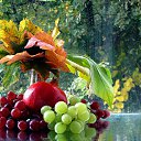 ���� ��������, ������������, 62 ���� - ��������� 22 ������� 2014 � ������ ������ ��������