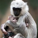 ���� ��������, ����� - ��������� 26 �������� 2014 � ������ ������ ��������