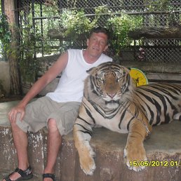 �������, ��������, 54 ����