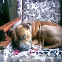 �� ���� 2