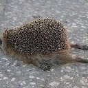 ���� �����, ������, 53 ���� - ��������� 16 ������� 2014 � ������ ������ ��������