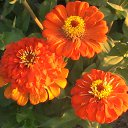 ���� ������, �����, 56 ��� - ��������� 4 �������� 2014